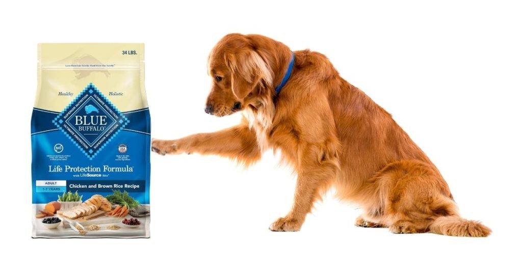 Blue Buffalo Dog Food Reviews