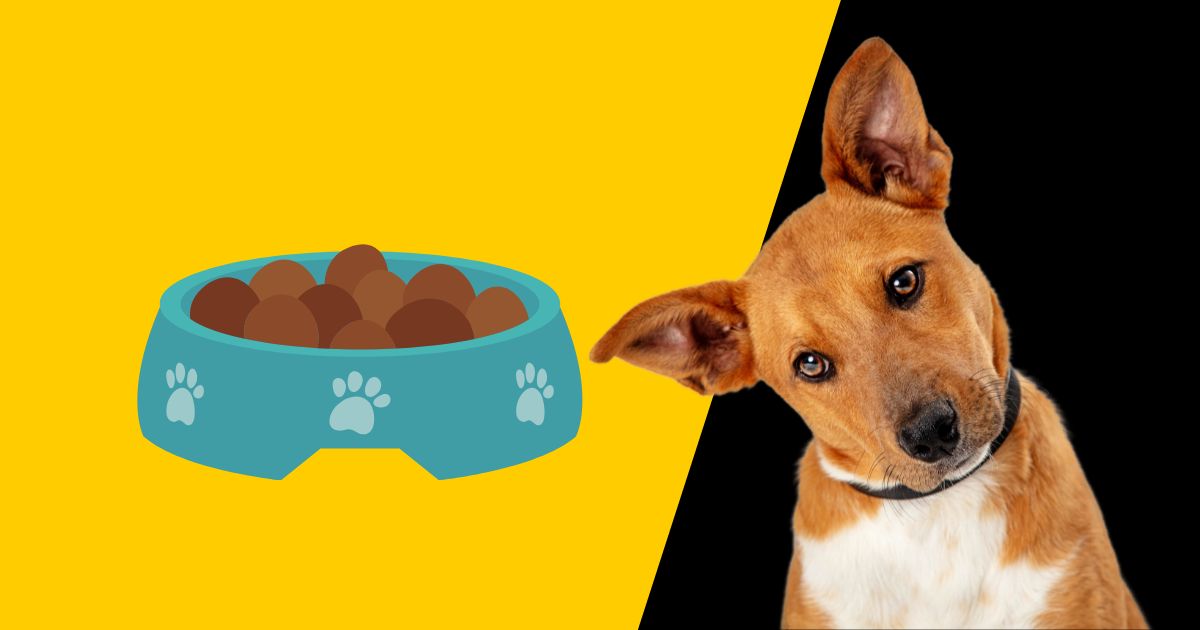 Homemade Diet for Dogs with Allergies