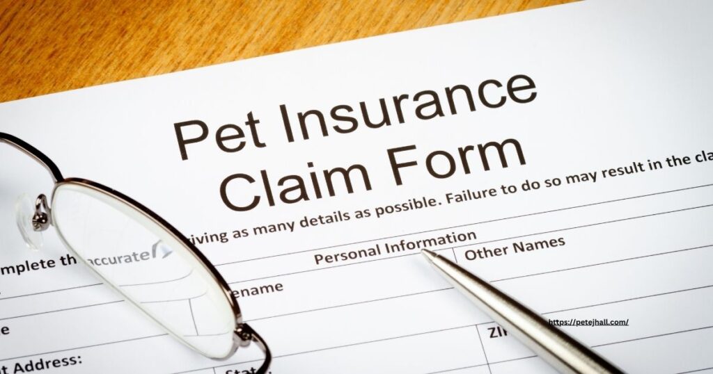 Discover Pet Insurance for Dogs in PA