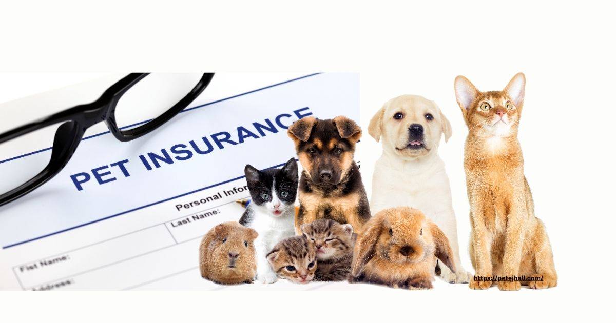 Pet Insurance for Dogs in PA