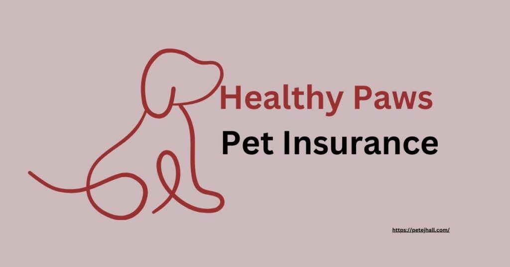 Discover Pet Insurance for Dogs in PA