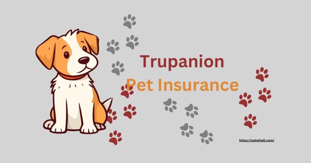 Discover Pet Insurance for Dogs in PA