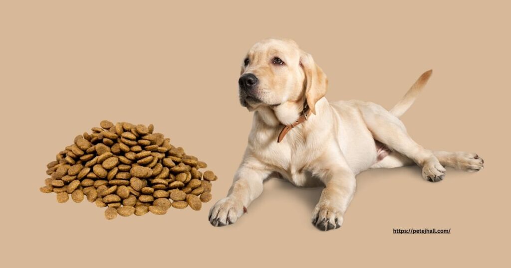 Ultimate Dog Food Review