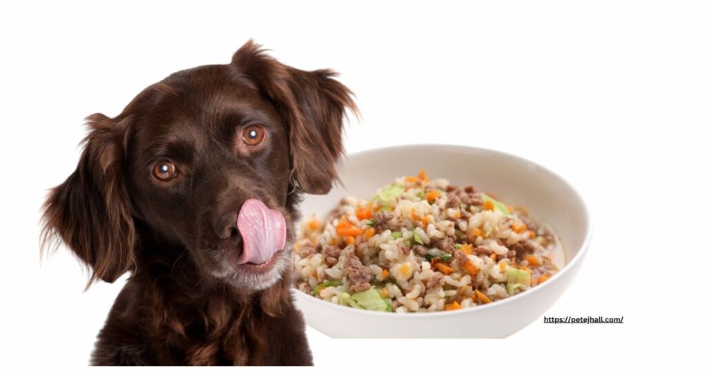 Ultimate Dog Food Review