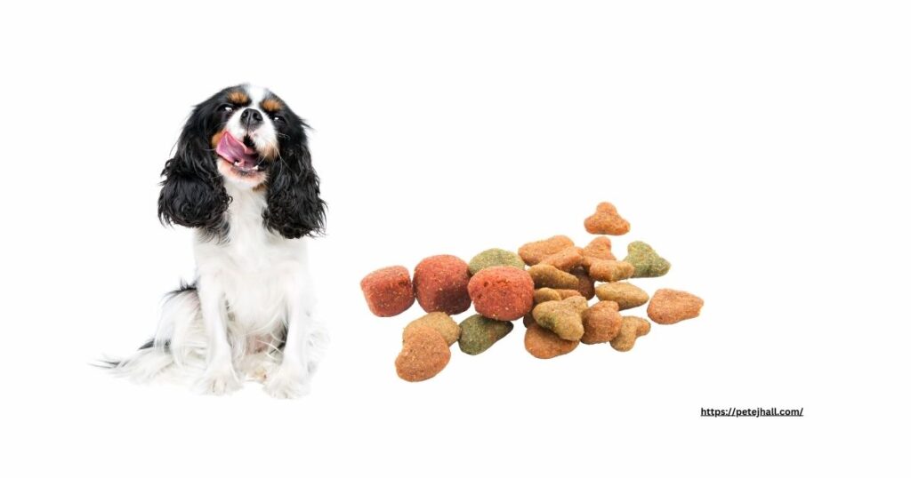 Ultimate Dog Food Review