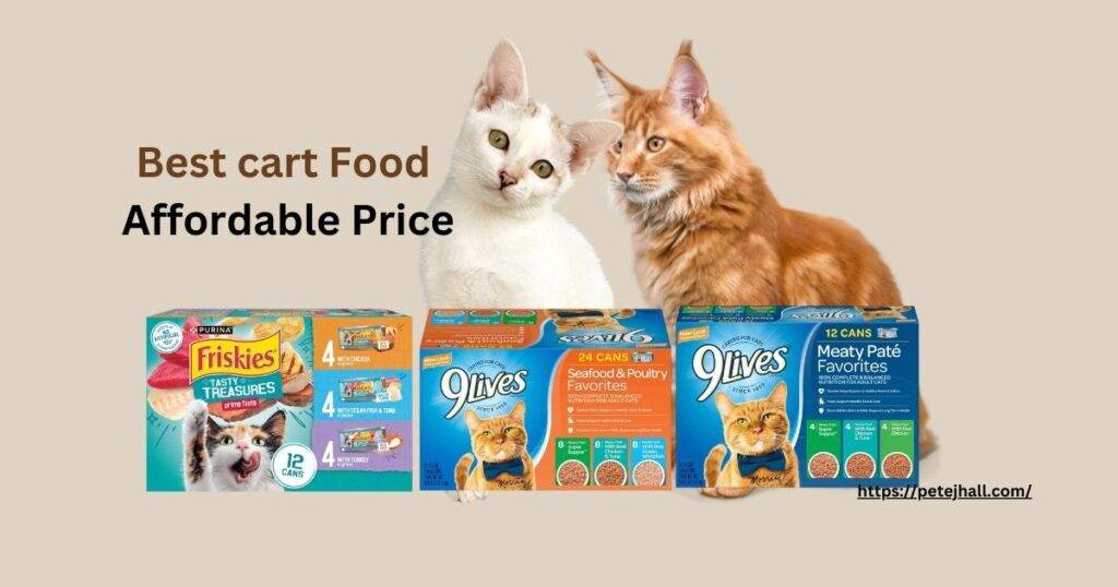 What is the Cheapest Cat Food?