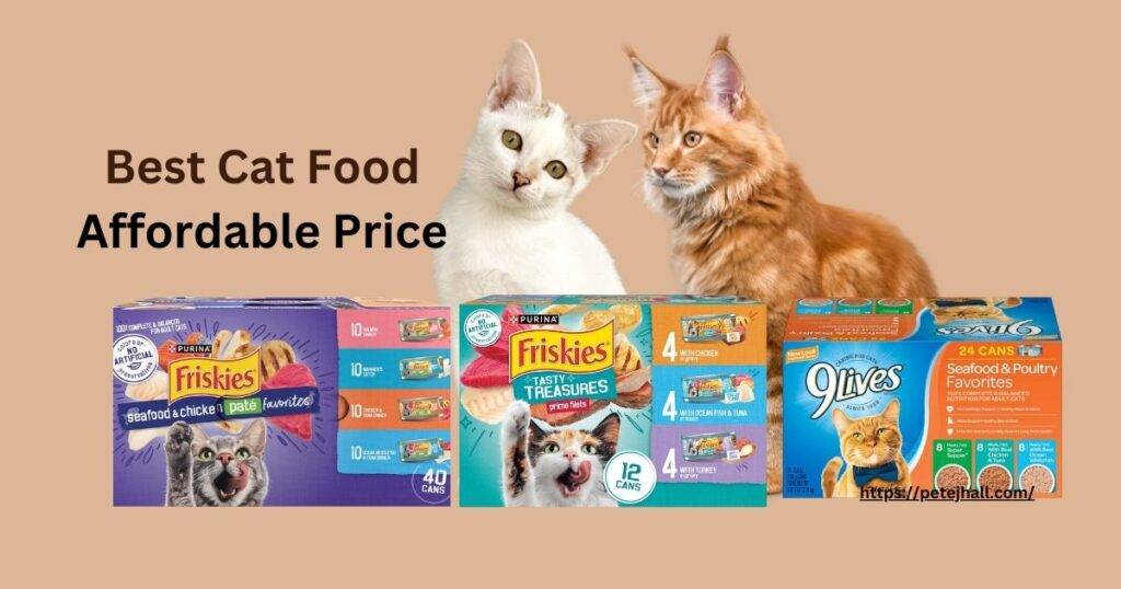 What is the Cheapest Cat Food