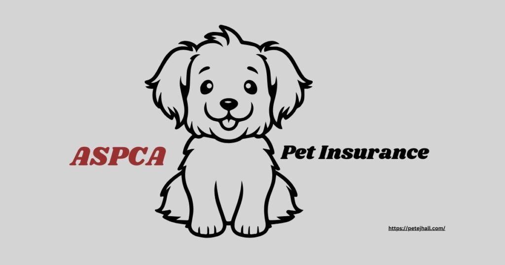 Finding the Best 5 Pet Insurance in Portland