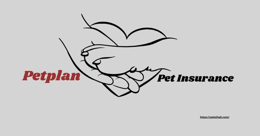 Finding the Best 5 Pet Insurance in Portland