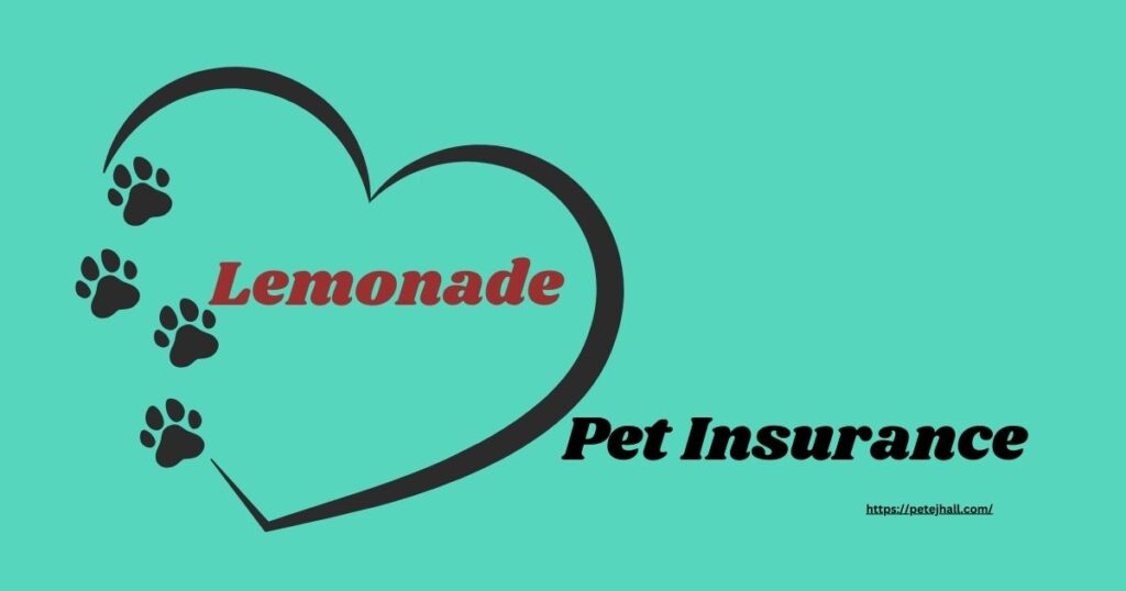 Finding the Best 5 Pet Insurance in Portland