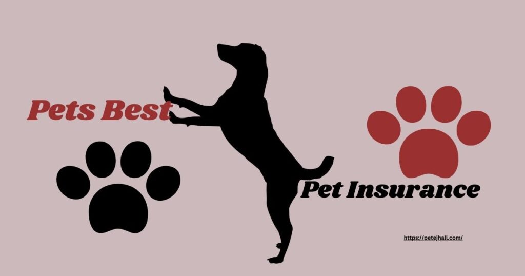 Finding the Best 5 Pet Insurance in Portland