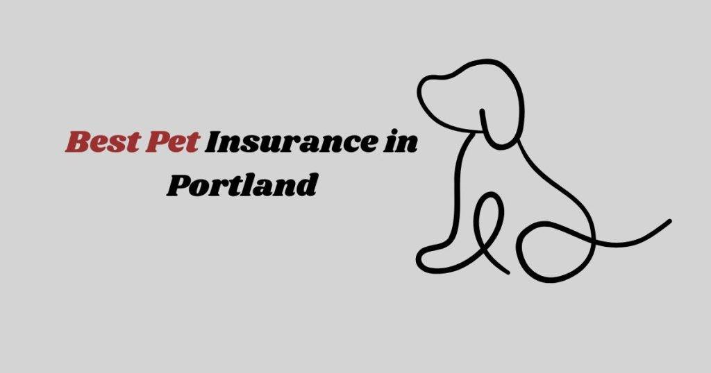 the Best Pet Insurance in Portland