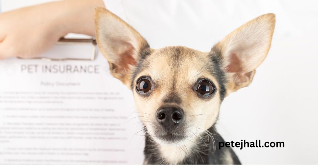 Best 5 Pet Insurance for Hip Dysplasia: A Comprehensive Guide for Pet Owners Best 5 Pet Insurance for Hip Dysplasia