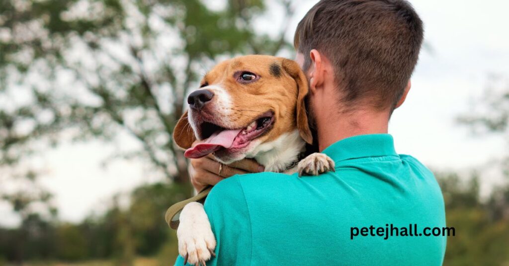 Best 5 Pet Insurance for Hip Dysplasia: A Comprehensive Guide for Pet Owners Best 5 Pet Insurance for Hip Dysplasia