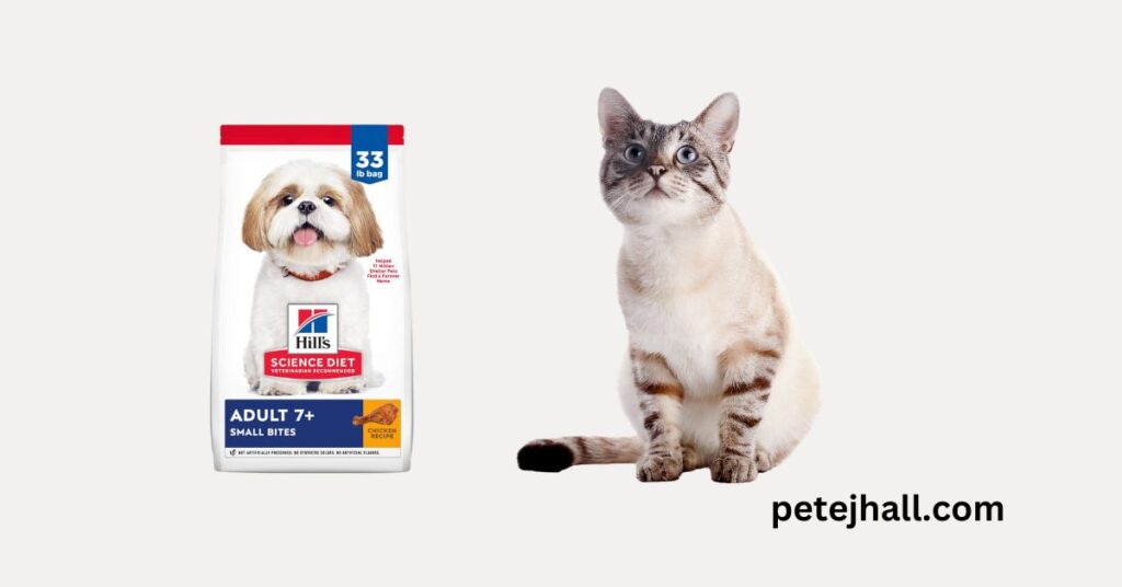 Best 5 Dry Cat Food for Older Cats: A Comprehensive Guide Best Dry Cat Food for Older Cats