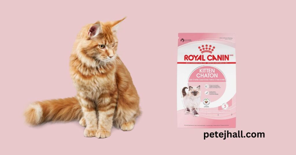 Best 5 Dry Cat Food for Older Cats: A Comprehensive Guide Best Dry Cat Food for Older Cats