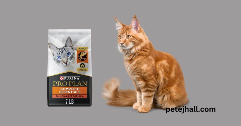 Best 5 Dry Cat Food for Older Cats: A Comprehensive Guide Best Dry Cat Food for Older Cats