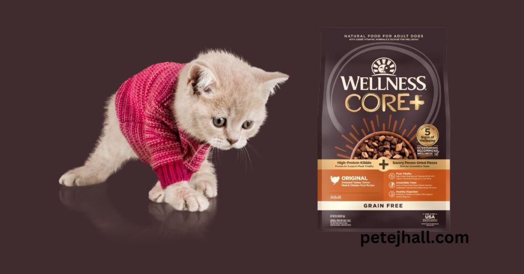 Best 5 Dry Cat Food for Older Cats: A Comprehensive Guide Best Dry Cat Food for Older Cats