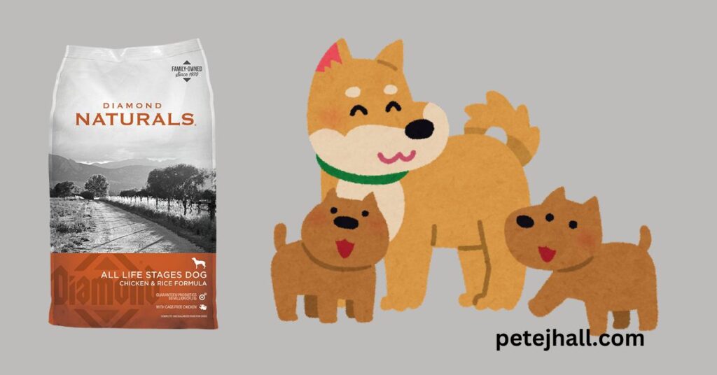 Discover Diamond Naturals Dog Food Review: The Ideal Nutrition for Your Buddy Focuse keyword