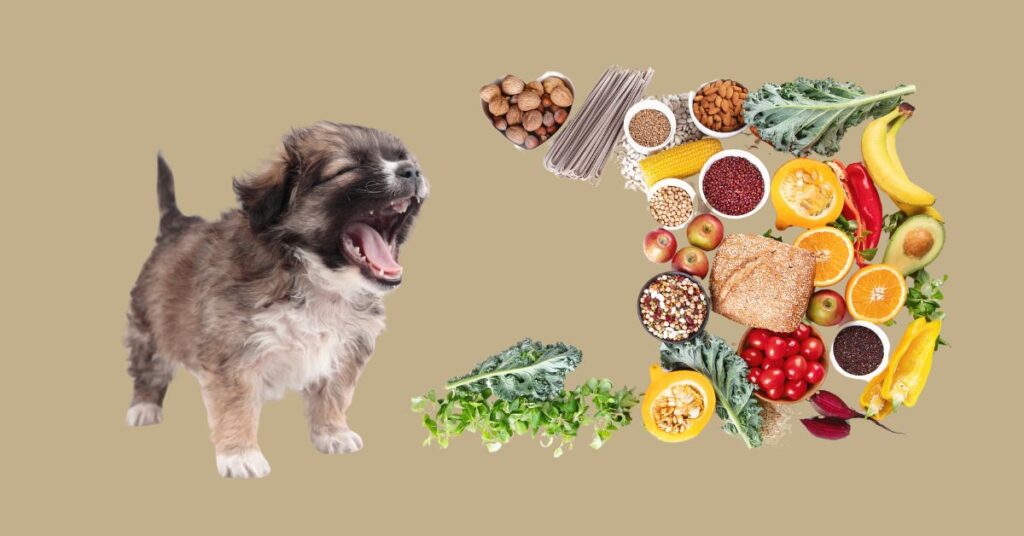 How to Add Fiber to a Dog's Diet: A Complete Guide How to Add Fiber to a Dog's Diet