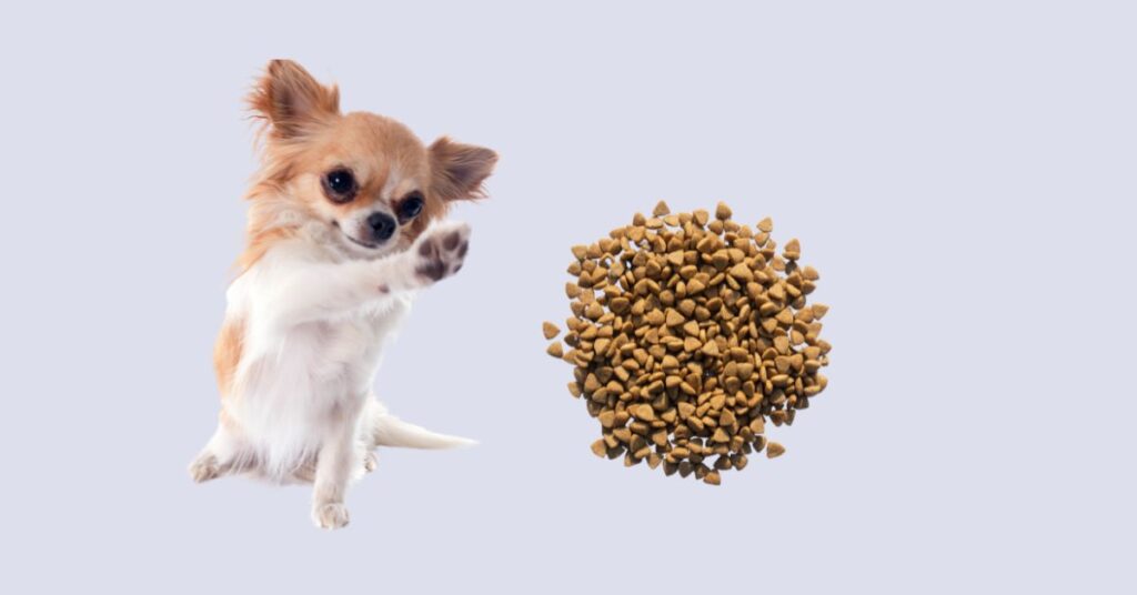 How to Add Fiber to a Dog's Diet: A Complete Guide How to Add Fiber to a Dog's Diet: A Complete Guide
