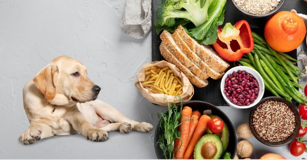 How to Add Fiber to a Dog's Diet: A Complete Guide How to Add Fiber to a Dog's Diet