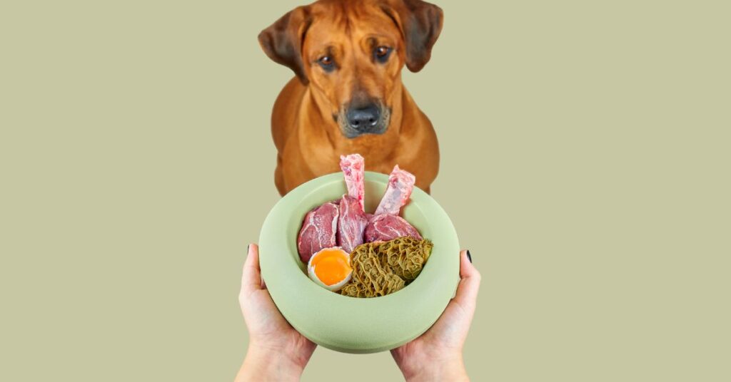 What's a Hepatic Diet for Dogs: A Comprehensive Guide to Liver Health? What's a Hepatic Diet for Dogs