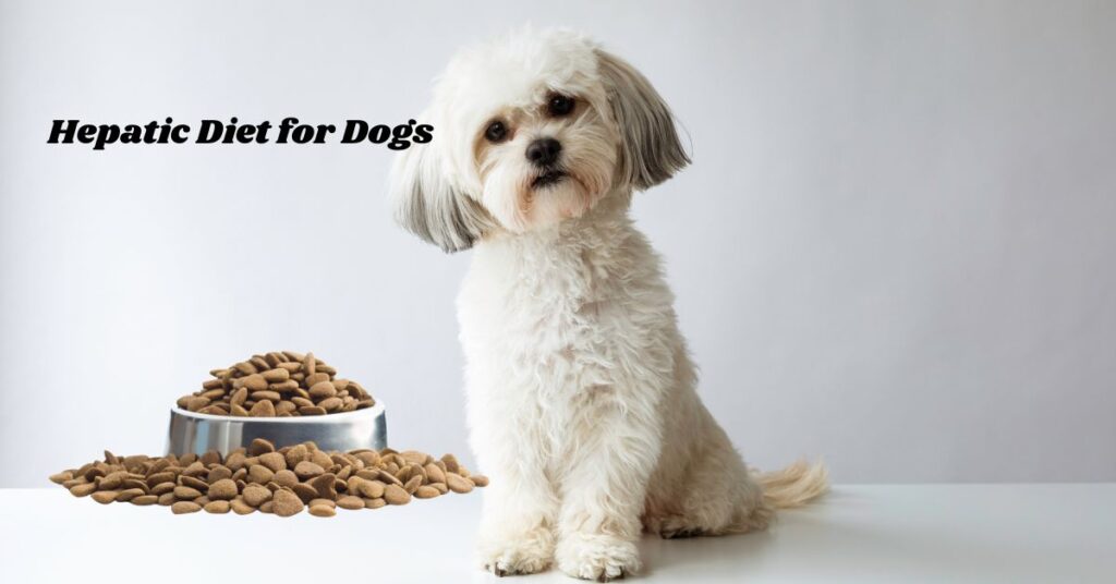 What's a Hepatic Diet for Dogs: A Comprehensive Guide to Liver Health? What's a Hepatic Diet for Dogs?