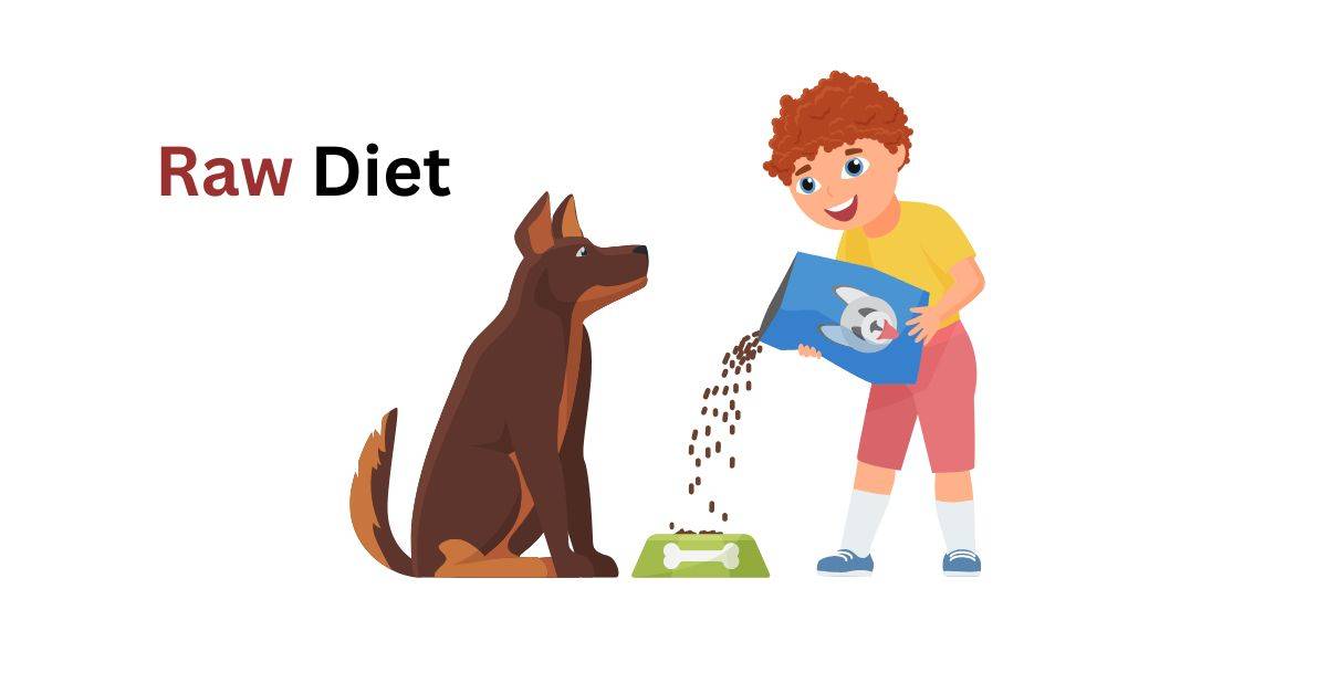 How Much Raw Diet to Feed Dogs