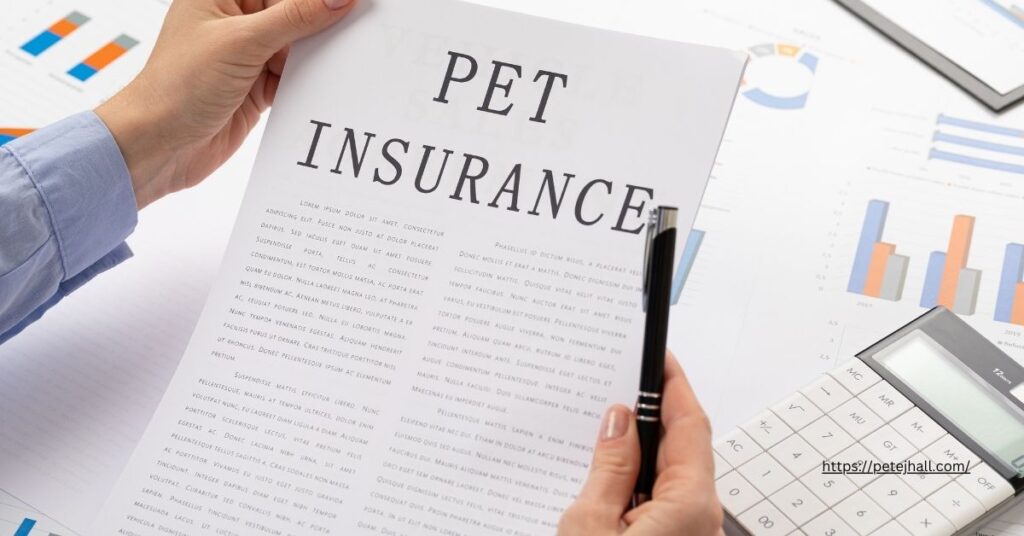 Insurance for Pet Damage to Rental Property