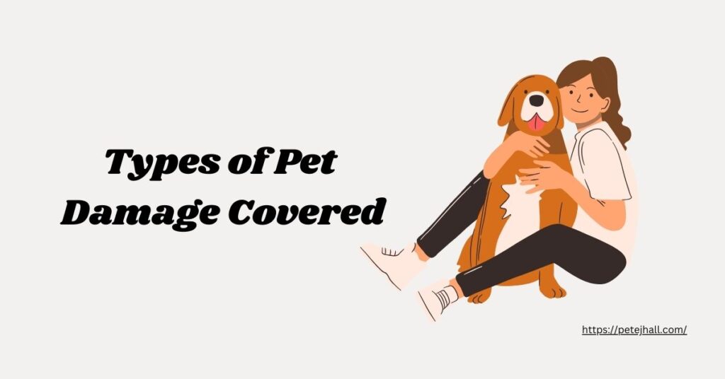 Insurance for Pet Damage to Rental Property: A Comprehensive Guide