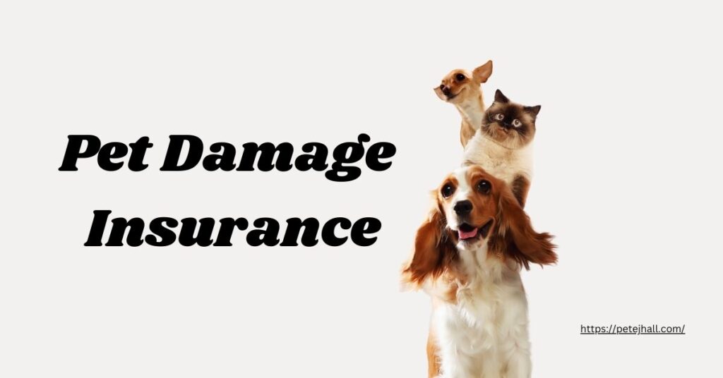 Insurance for Pet Damage to Rental Property: A Comprehensive Guide