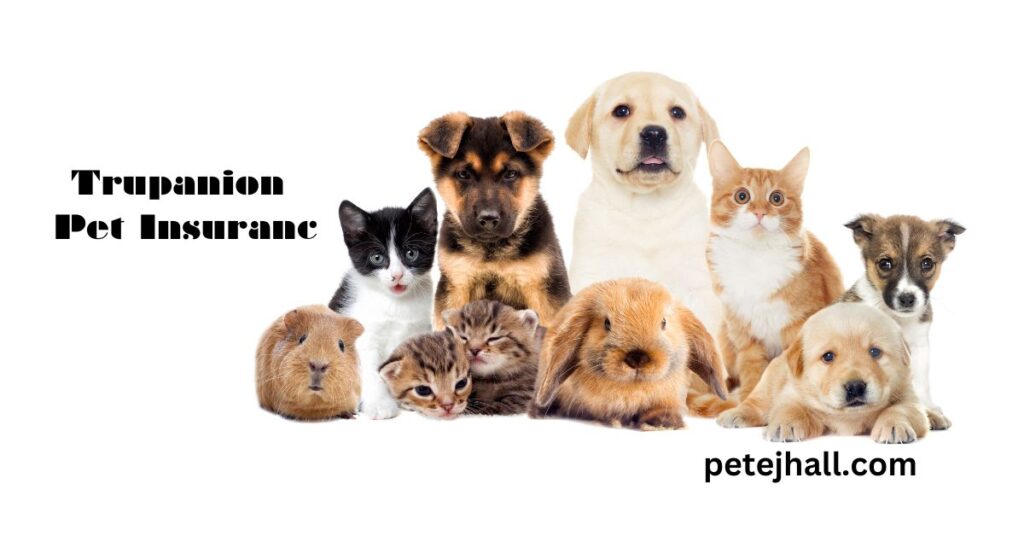 Discover Pet Insurance That Covers Hereditary Conditions: A Comprehensive Guide Pet Insurance That Covers Hereditary Condition