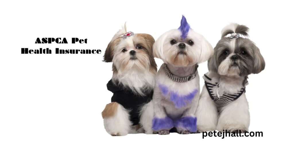 Discover Pet Insurance That Covers Hereditary Conditions: A Comprehensive Guide Pet Insurance That Covers Hereditary Condition