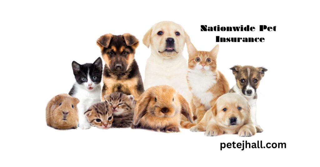 Discover Pet Insurance That Covers Hereditary Conditions: A Comprehensive Guide Pet Insurance That Covers Hereditary Condition