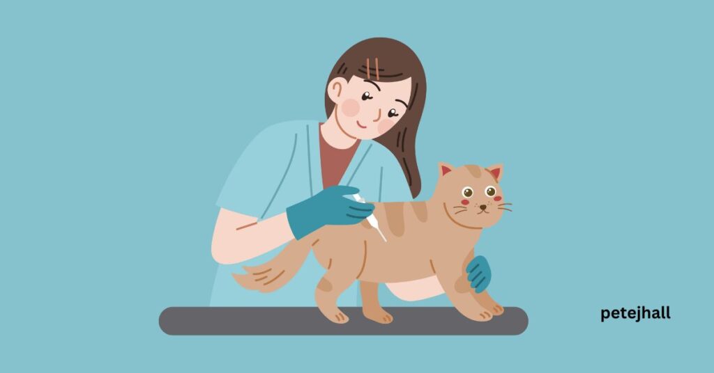 Discover Why does my cat vomit dry food? Feline GI Problems Explained Why does my cat vomit dry food?