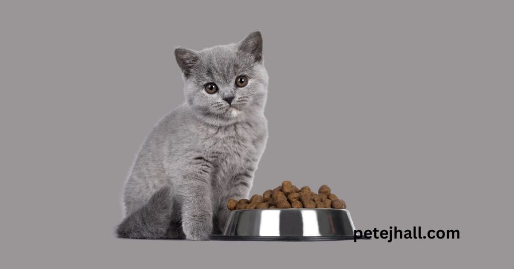 Discover Why is my cat so picky with food? Understanding Feline Fancies Why is my cat so picky with food?
