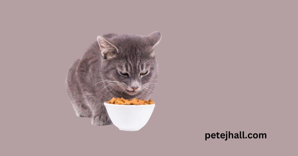 Discover Why is my cat so picky with food? Understanding Feline Fancies Focuse keyword