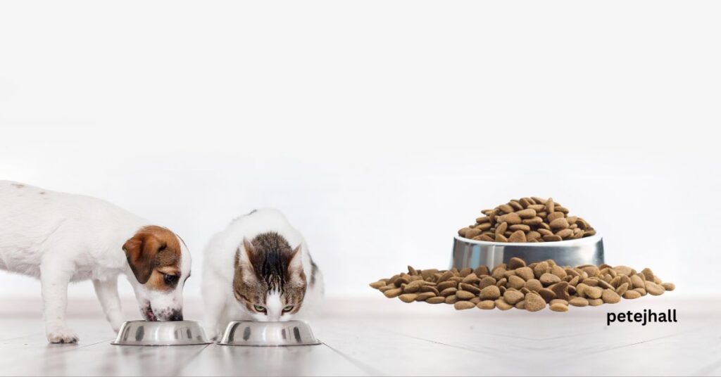 Why is my dog so picky about food? Why is my dog so picky about food?