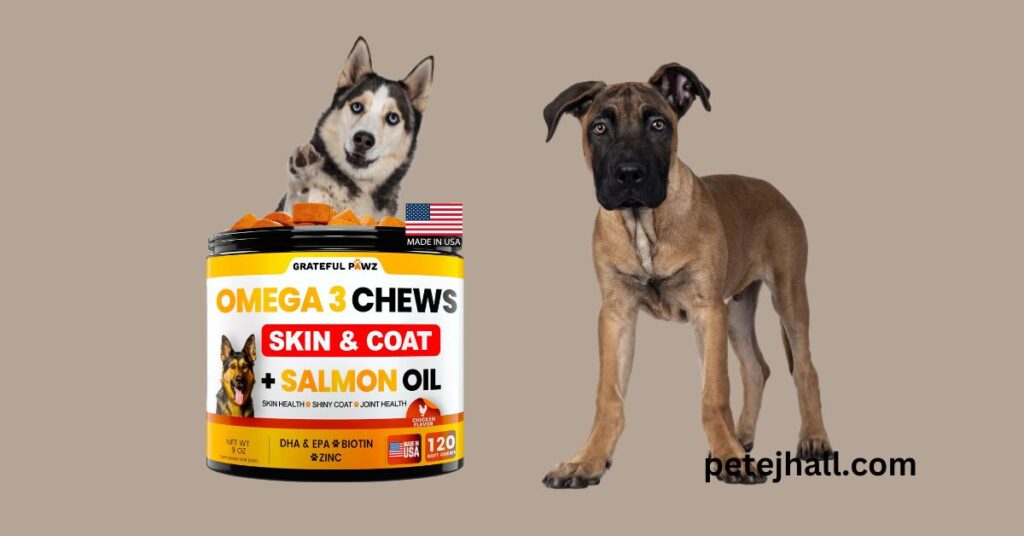 Zinc in Dog Food: The Essential Guide for Pet Health Zinc in Dog Food