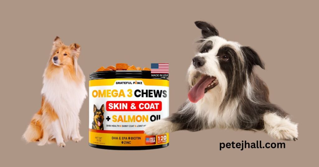 Zinc in Dog Food: The Essential Guide for Pet Health Zinc in Dog Food