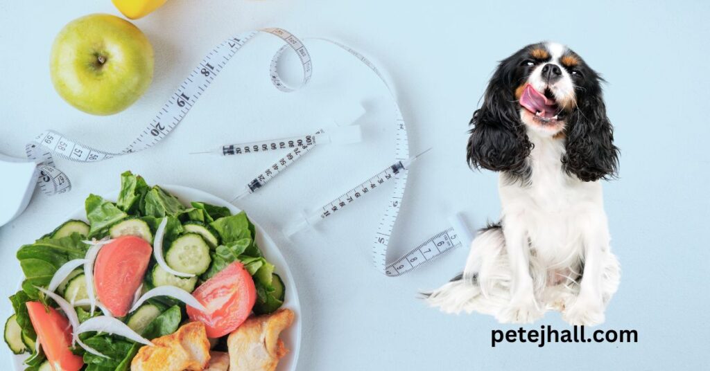 Discover Diabetic Dog Diet: Homemade Recipes and Care Tips Discover Diabetic Dog Diet