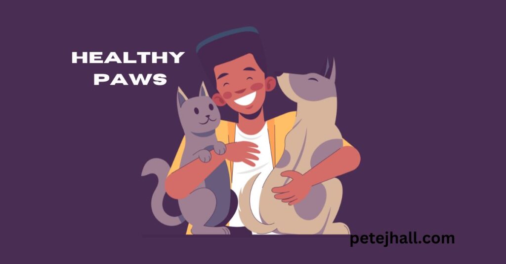 Do All Veterinarians Accept All Pet Insurance? What You Need to Know Do All Veterinarians Accept All Pet Insurance
