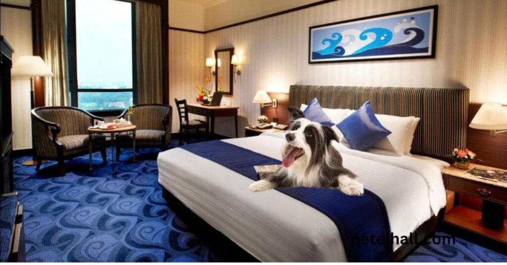 Dog-Friendly Hotels Near Me: A Complete Guide for Pet Parents Dog-Friendly Hotels Near Me