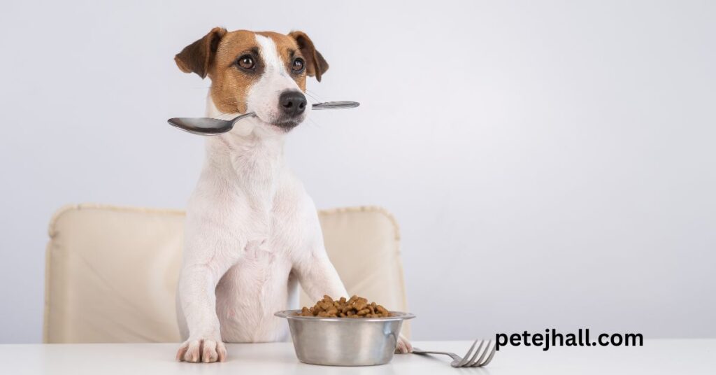 Discover Low Copper Dog Diet: The unlimited Guide Low Copper Dog Diet