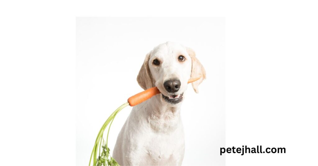 What is a bland diet for dogs? A Comprehensive Guide What is a bland diet for dogs?